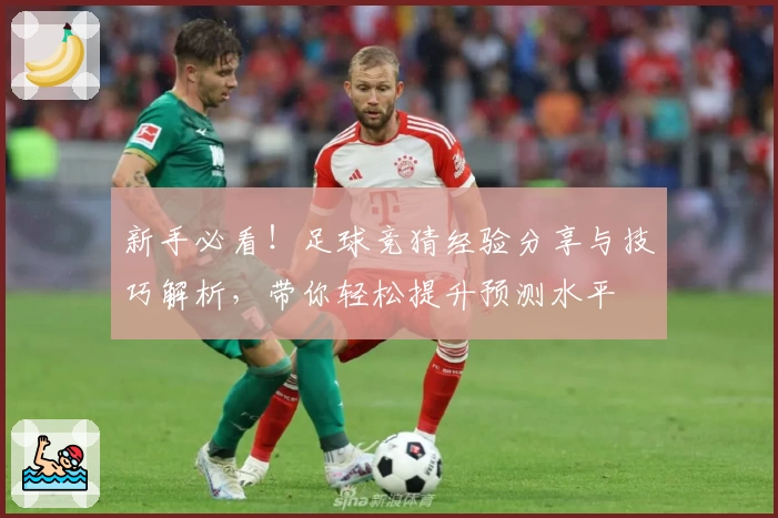 新手必看！足球竞猜经验分享与技巧解析，带你轻松提升预测水平