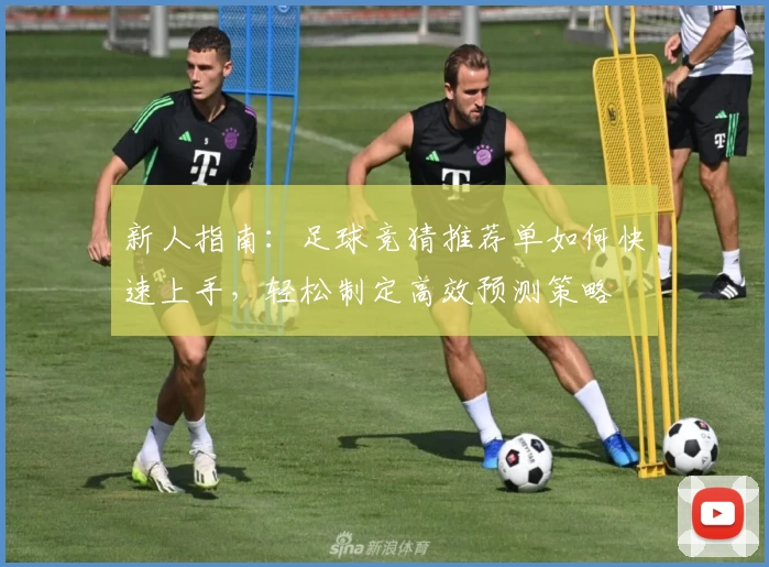 新人指南：足球竞猜推荐单如何快速上手，轻松制定高效预测策略