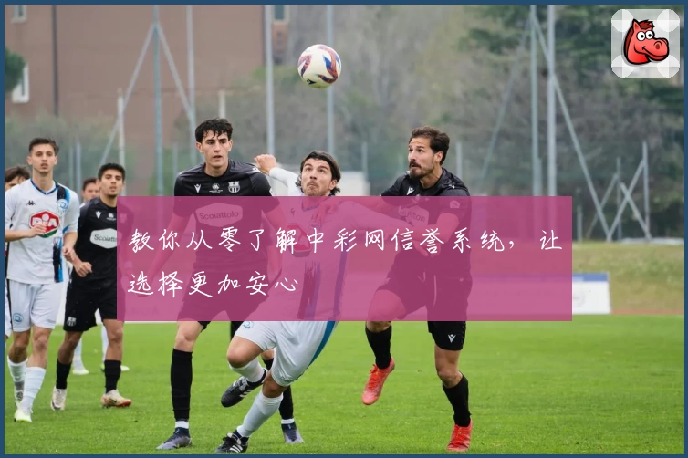 教你从零了解中彩网信誉系统，让选择更加安心