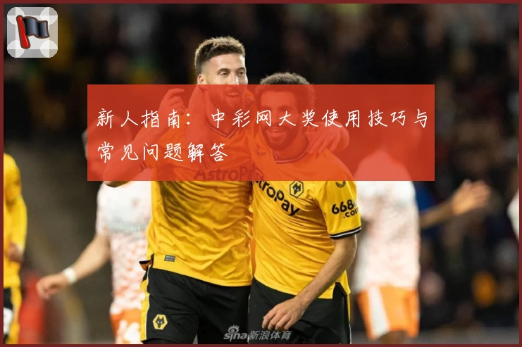 新人指南：中彩网大奖使用技巧与常见问题解答